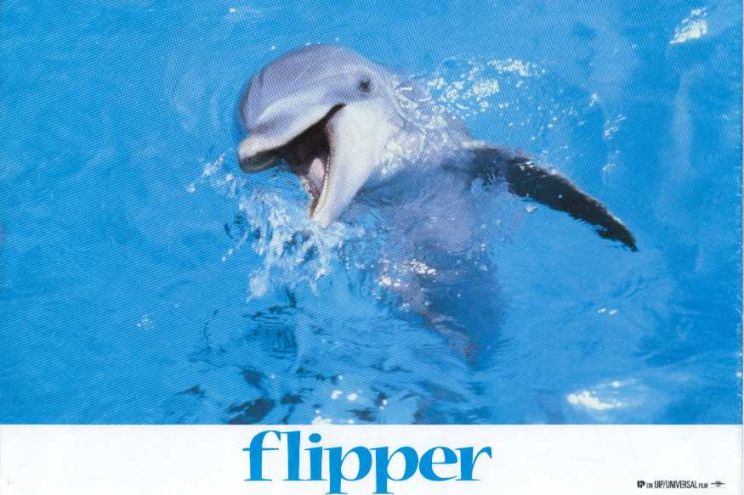 Flipper