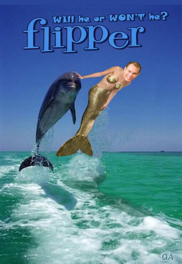 Flipper