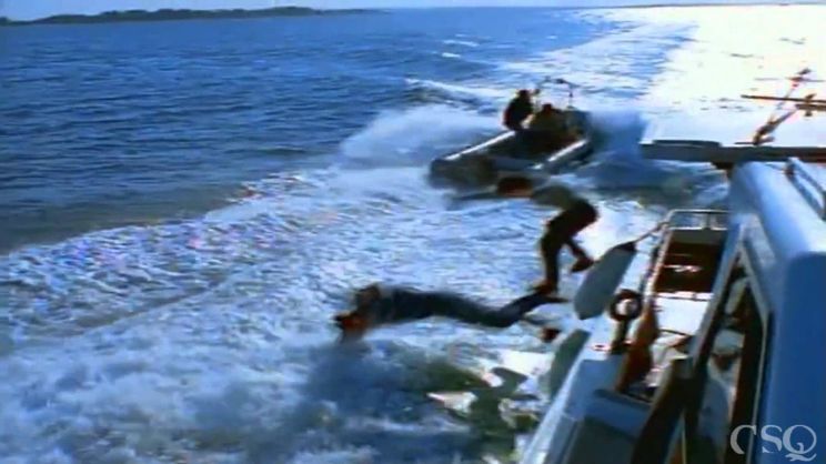 Flipper