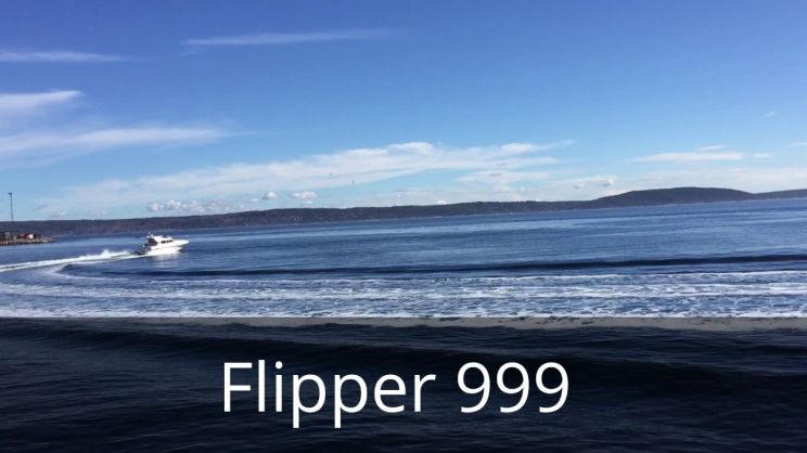 Flipper