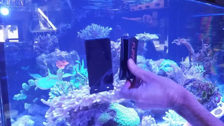 Flipper