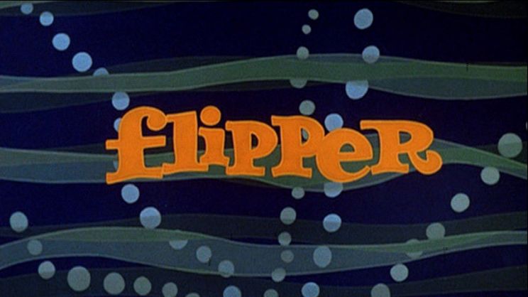 Flipper