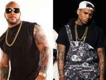 Flo Rida