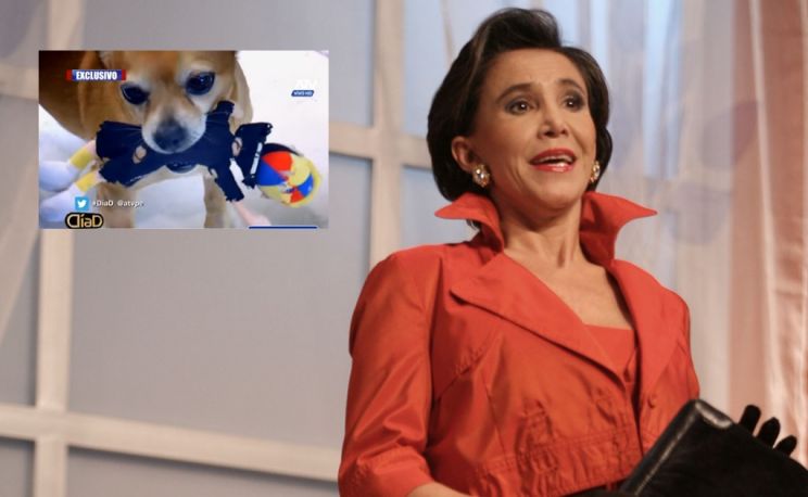 Florinda Meza