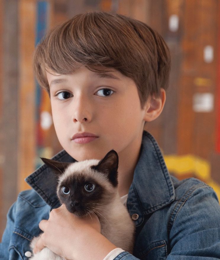 Pictures of Flynn Allen