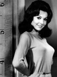 Francine York