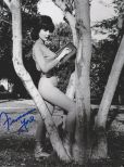 Francine York