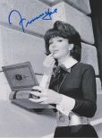 Francine York