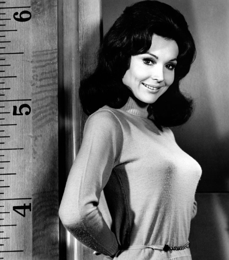Pictures of Francine York