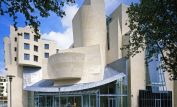 Frank Gehry