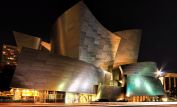 Frank Gehry