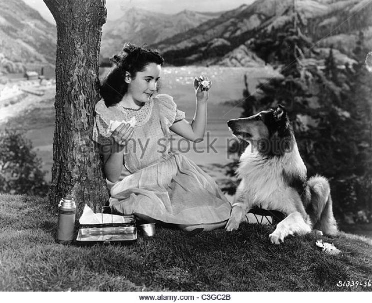 Frank Morgan
