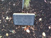 Frank Potter