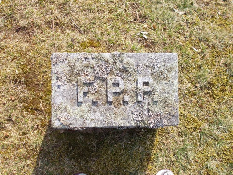 Frank Potter