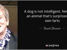 Frank Skinner