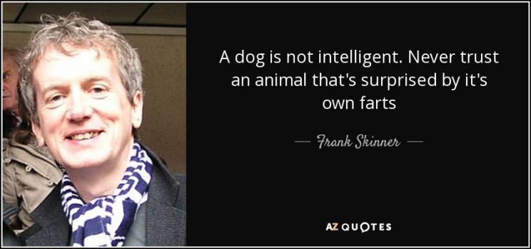 Frank Skinner