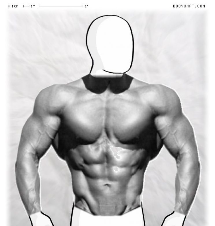 Frank Zane