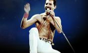 Freddie Mercury