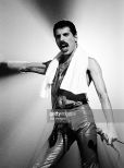 Freddie Mercury