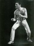 Freddie Mercury