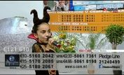 Frida Cauchi