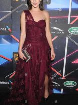 Fuschia Sumner #1305218 picture (Portrait Medium)