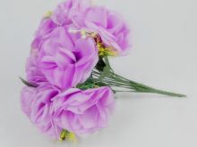 Fuschia!