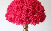 Fuschia!