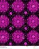 Fuschia!