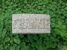 Gabriel Carpenter