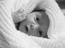 Gabrielle Elyse #1340734 picture (Landscape Medium)