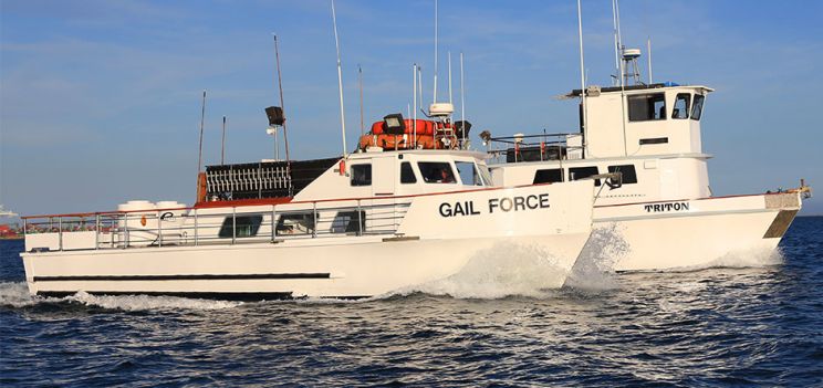 Gail Force