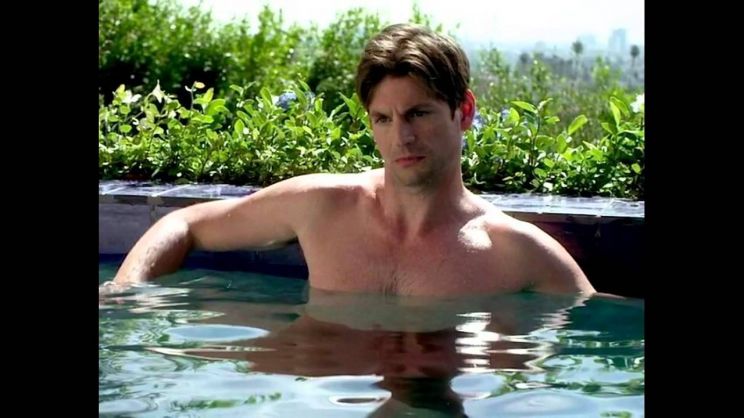 Gale Harold