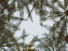 Garrett Coffey