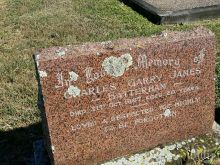 Garry James