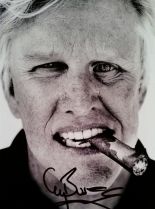 Gary Busey