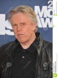 Gary Busey