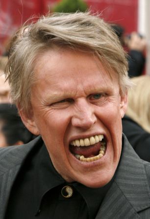 Gary Busey