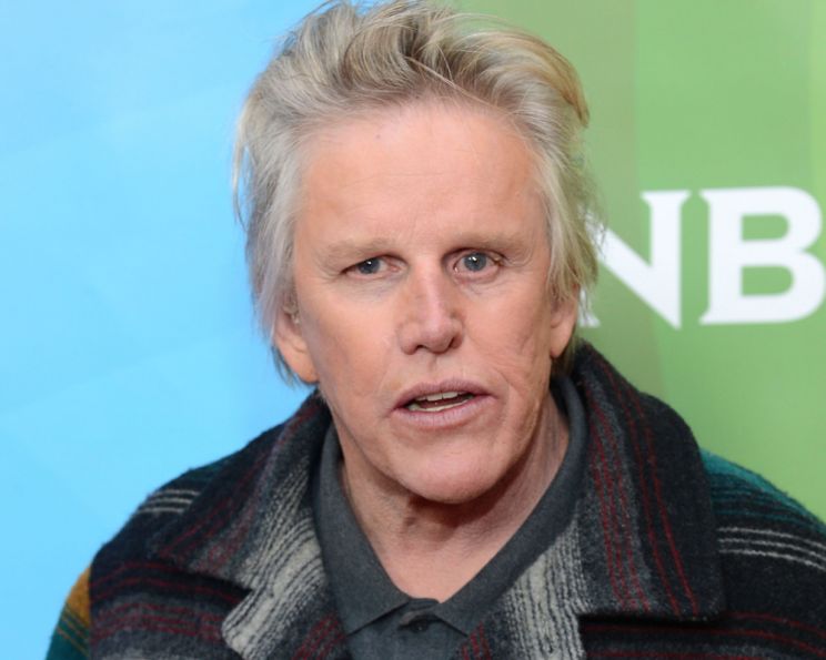 Gary Busey