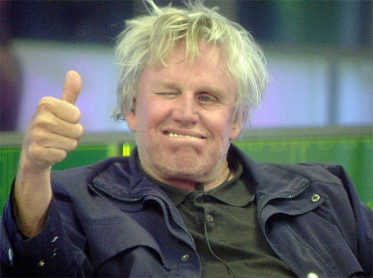 Gary Busey