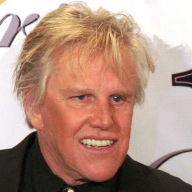 Gary Busey