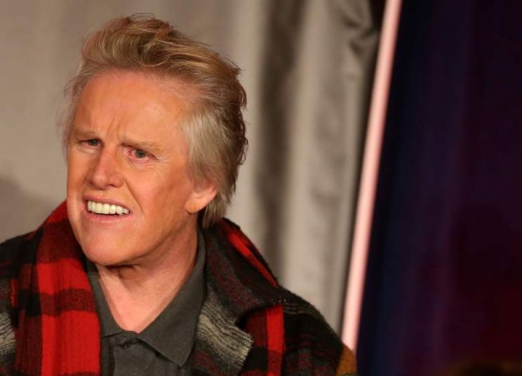 Gary Busey