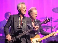 Gary Kemp