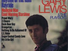 Gary Lewis