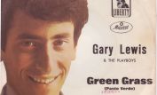 Gary Lewis