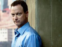 Gary Sinise #82248 picture (Landscape Medium)