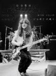 Geddy Lee