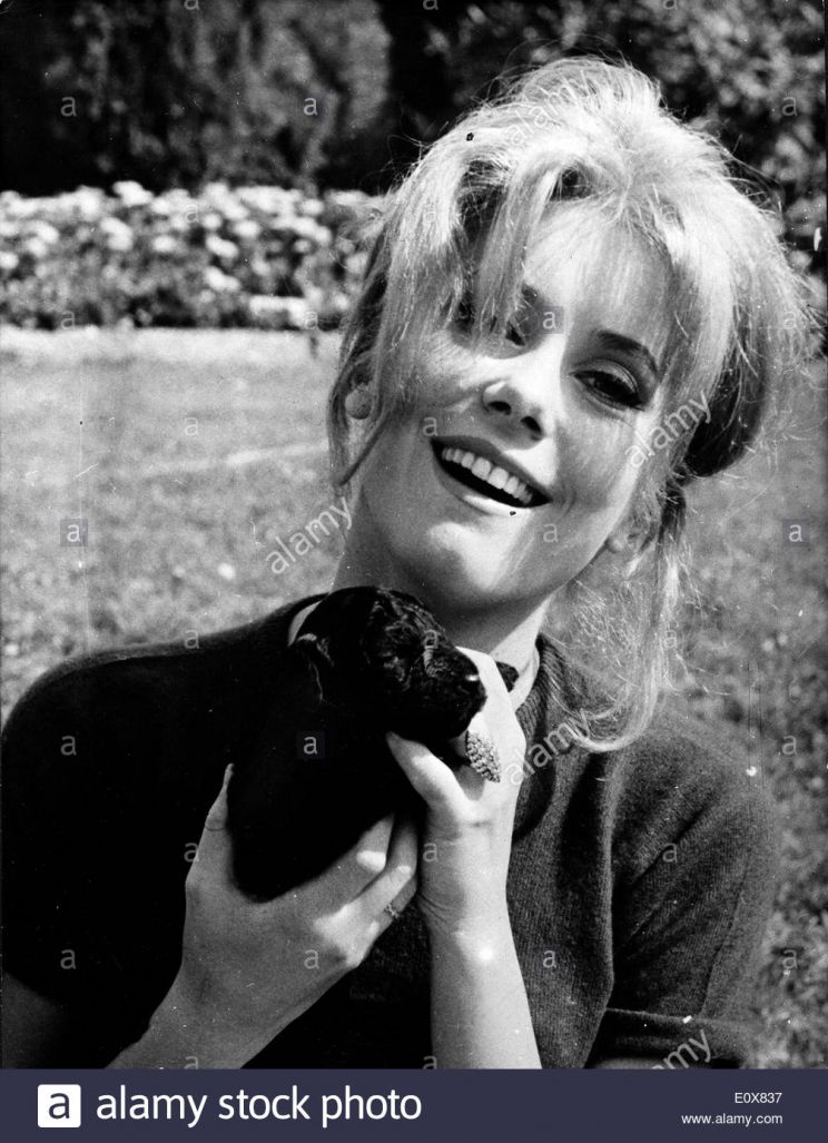 Geneviève Thénier