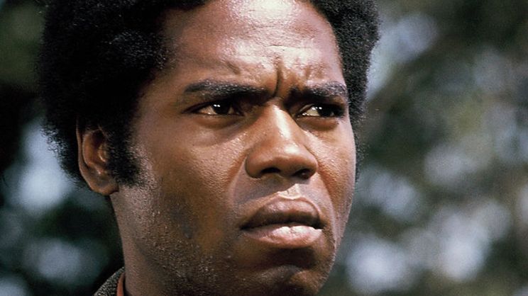 Georg Stanford Brown