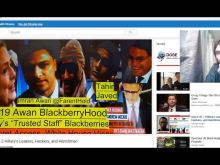 George Webb #2996237 picture (Landscape Medium)